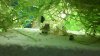 DSC00166.JPG