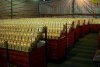 024 Kerzen die aufgestellt wurden über 7000 Stück mit den Namen der aufsteller.JPG