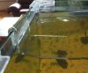 20100523024041k.JPG 20100523024041k.JPG
