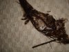 DSC00662.JPG
