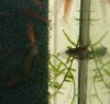 20100406212113k.JPG