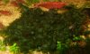 20100807204103k.jpg