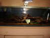 DSC00784.JPG