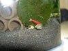 09.09.10 Aquarium 017.jpg