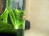 09.09.10 Aquarium 011.jpg