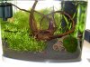 09.09.10 Aquarium 007.jpg