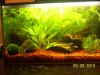 Aquarium 09.09.2010b.JPG