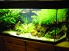 26.01.2010 003.jpg
