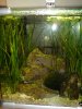 Tigerbecken 001_(800_x_600).jpg