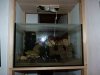 P1000317.JPG