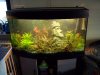aquarium 1.jpg