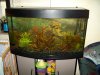 aquarium 2.jpg
