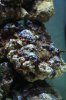 Marinus_02112010_3.JPG
