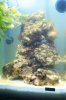 Marinus_06112010_2.JPG