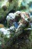 Nummer2_02112010_4.JPG