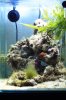 Nummer2_06112010_1.JPG