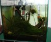 IMG_5382.jpg IMG_5382.jpg