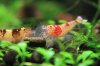 resized_IMG_8861.jpg