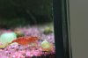 resized_IMG_8998.jpg