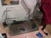 28112010095.jpg