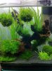 004_Cube_2010-12-12_sa.JPG