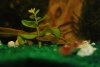 tn_DSC_0386.JPG tn_DSC_0386.JPG