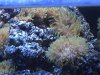 PICTfeueraqua 5.JPG