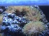 PICTfeueraqua 9.JPG