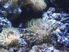 PICTfeueraqua 12.JPG