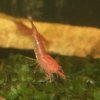 20101231024013m.jpg