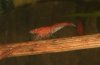 20101230200528m.jpg