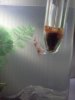 IMG20110120_001.jpg