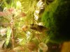 DSC02054.JPG