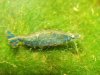 DSC04990.jpg