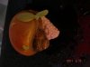 DSC02151.JPG