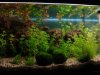 25l-1.jpg 25l-1.jpg