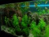 25l-2.jpg 25l-2.jpg
