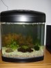 Aquarium 007.jpg Aquarium 007.jpg
