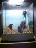 DSC05773.JPG