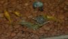 Dsc_0975.jpg Dsc_0975.jpg