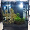 AquaelShrimpSet30-1.jpg