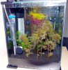 AquaelShrimpSet30-2.jpg