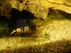 DSC01910.JPG