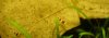 DSC02158.JPG