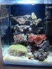 DSC01012.JPG