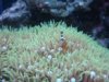 DSC01018.jpg