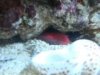 DSC01019.jpg