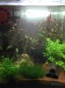 2011-03-27_12-26-17_726new.jpg