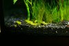 IMG_8850-085.jpg