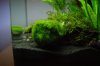 DSC00405.JPG